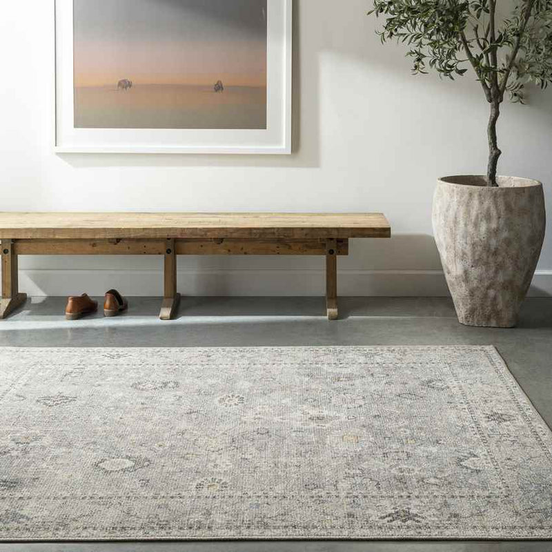 Davina Traditional Light Gray Area Rug - Becki Owens x Livabliss