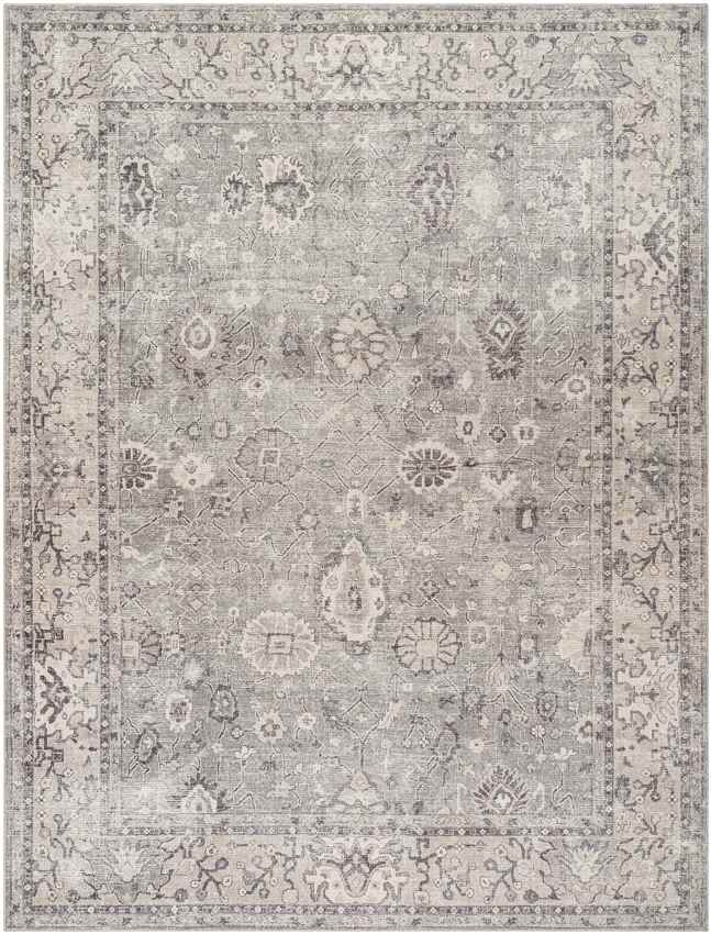 Davina Traditional Beige/Dark Brown Area Rug - Becki Owens x Livabliss