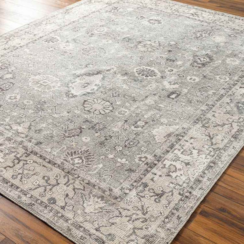 Davina Traditional Beige/Dark Brown Area Rug - Becki Owens x Livabliss