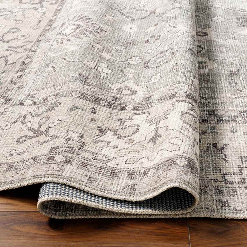 Davina Traditional Beige/Dark Brown Area Rug - Becki Owens x Livabliss