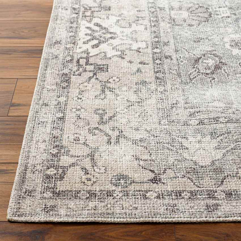 Davina Traditional Beige/Dark Brown Area Rug - Becki Owens x Livabliss