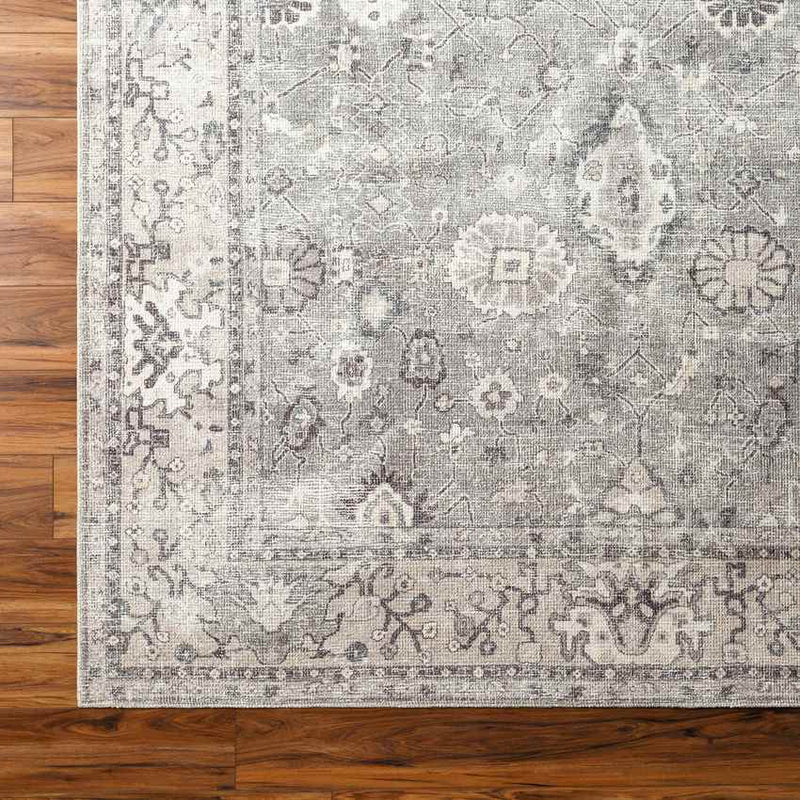 Davina Traditional Beige/Dark Brown Area Rug - Becki Owens x Livabliss