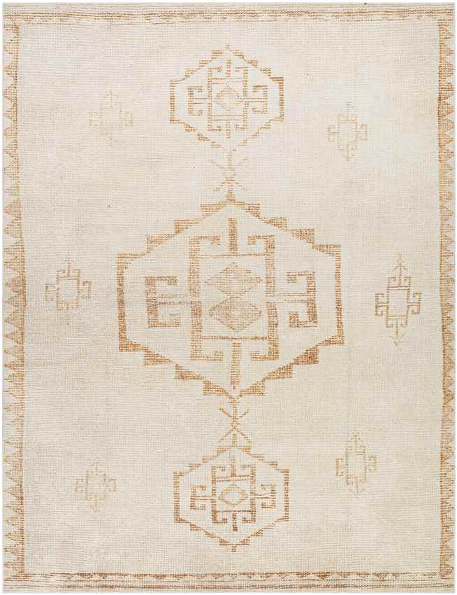 Solana Global Apricot/Beige Area Rug - Becki Owens x Livabliss