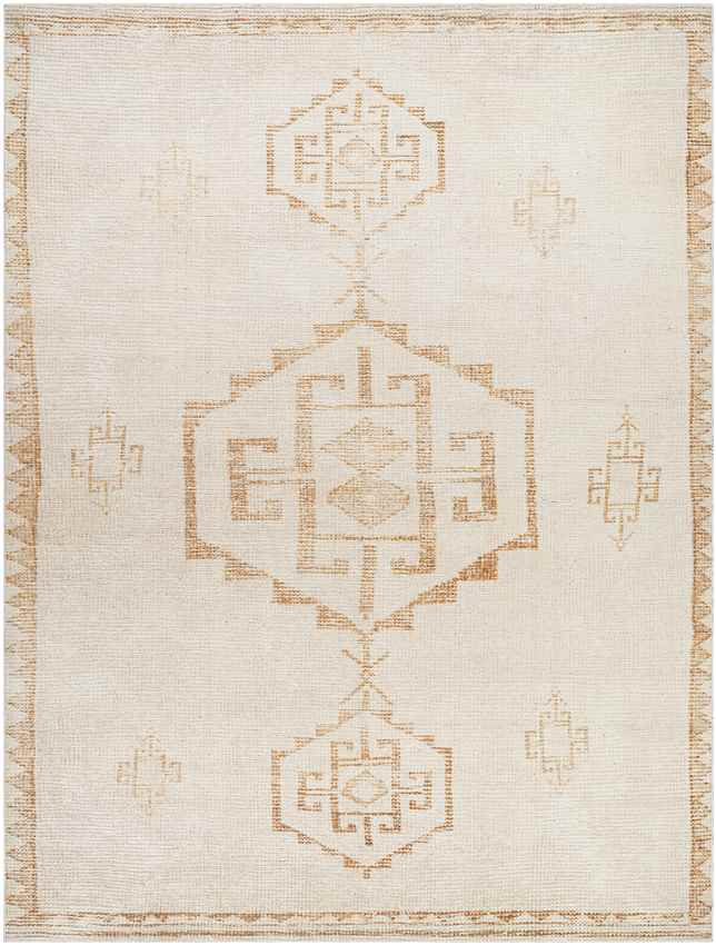 Solana Global Apricot/Beige Area Rug - Becki Owens x Livabliss