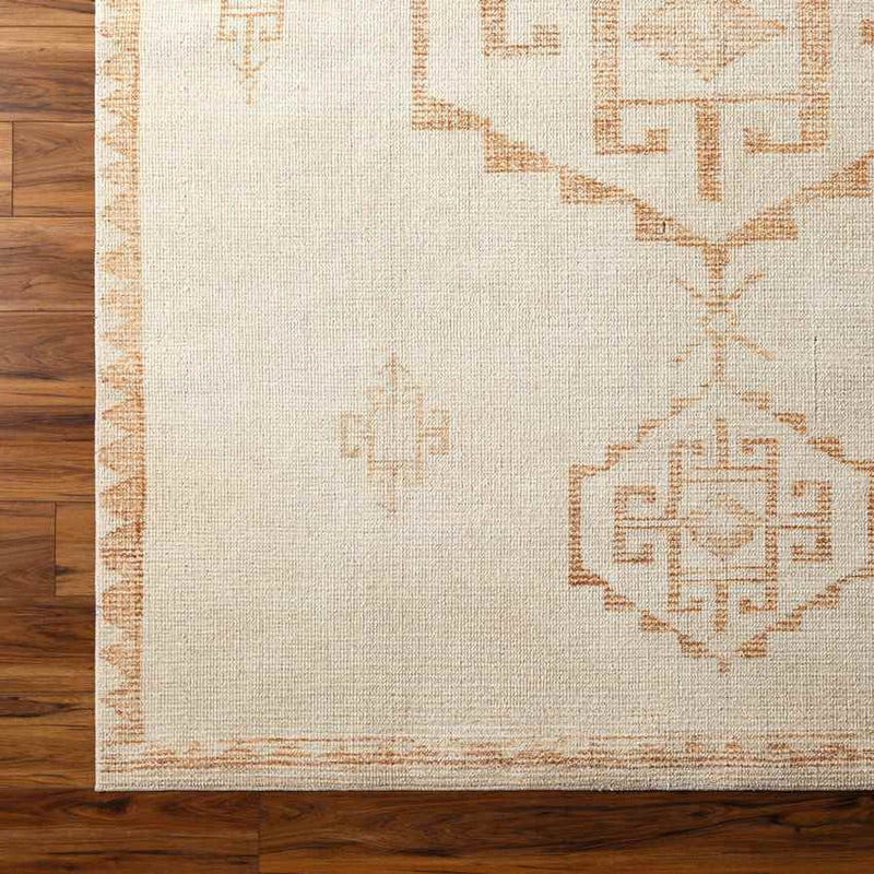 Solana Global Apricot/Beige Area Rug - Becki Owens x Livabliss