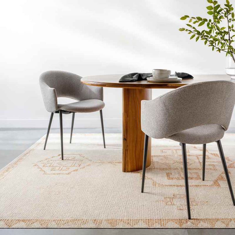 Solana Global Apricot/Beige Area Rug - Becki Owens x Livabliss