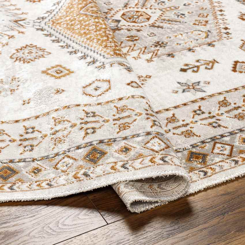 Kenja Traditional Burnt Orange/Ivory Area Rug