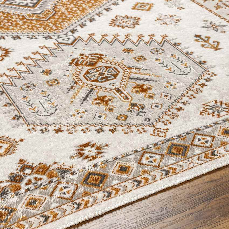 Kenja Traditional Burnt Orange/Ivory Area Rug