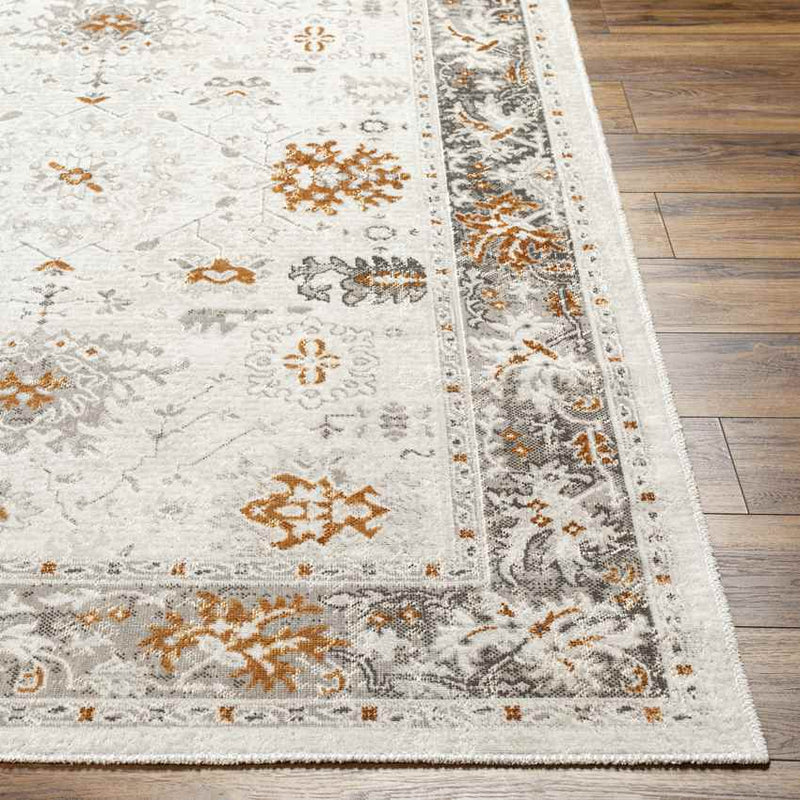 Jarin Traditional Burnt Orange/Taupe Area Rug