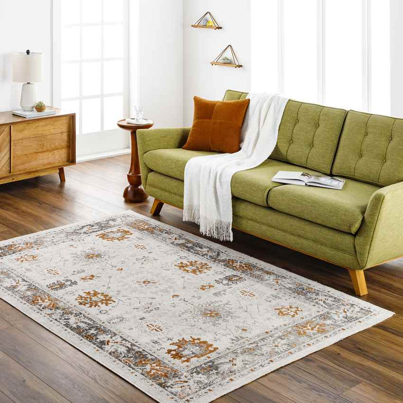 Jarin Traditional Burnt Orange/Taupe Area Rug