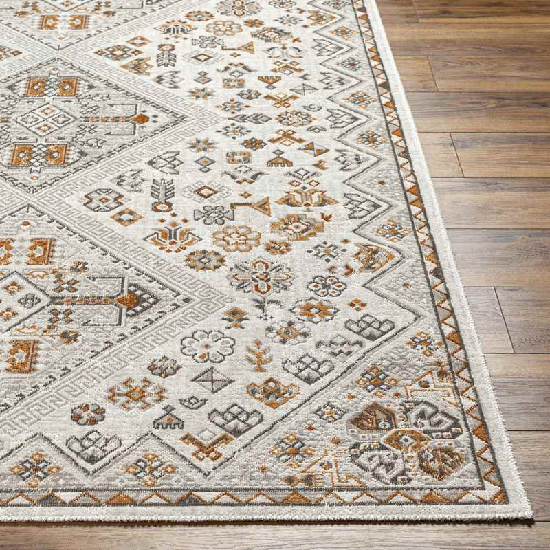 Melyssa Rustic Burnt Orange/Ivory Area Rug