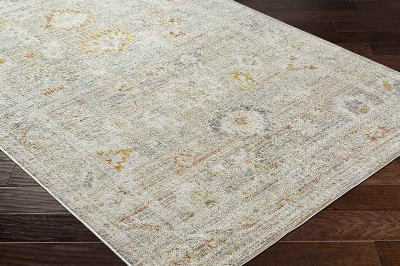 Absalon Traditional Burnt Orange/Light Beige Area Rug