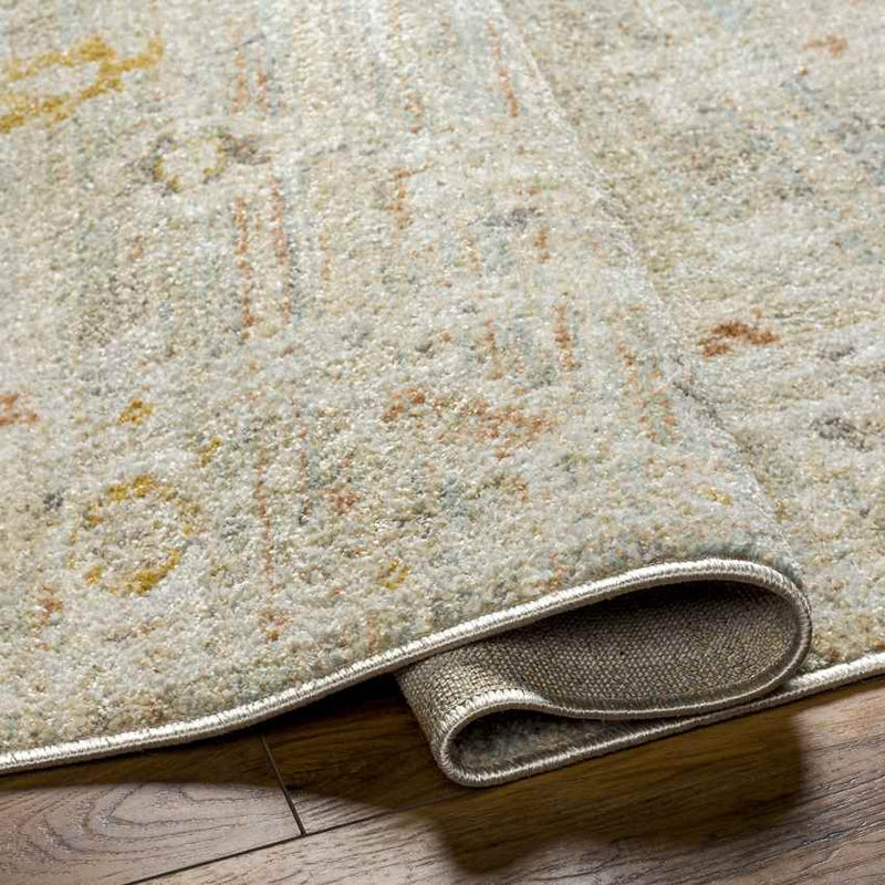 Absalon Traditional Burnt Orange/Light Beige Area Rug