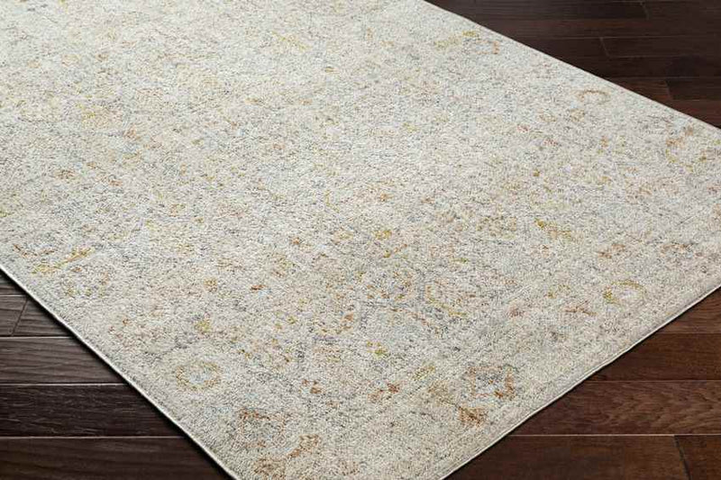 Joylynn Traditional Dusty Sage/Burnt Orange Area Rug