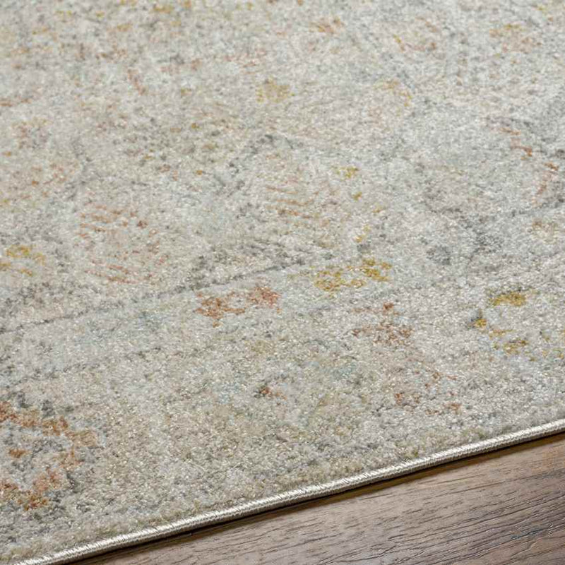 Joylynn Traditional Dusty Sage/Burnt Orange Area Rug