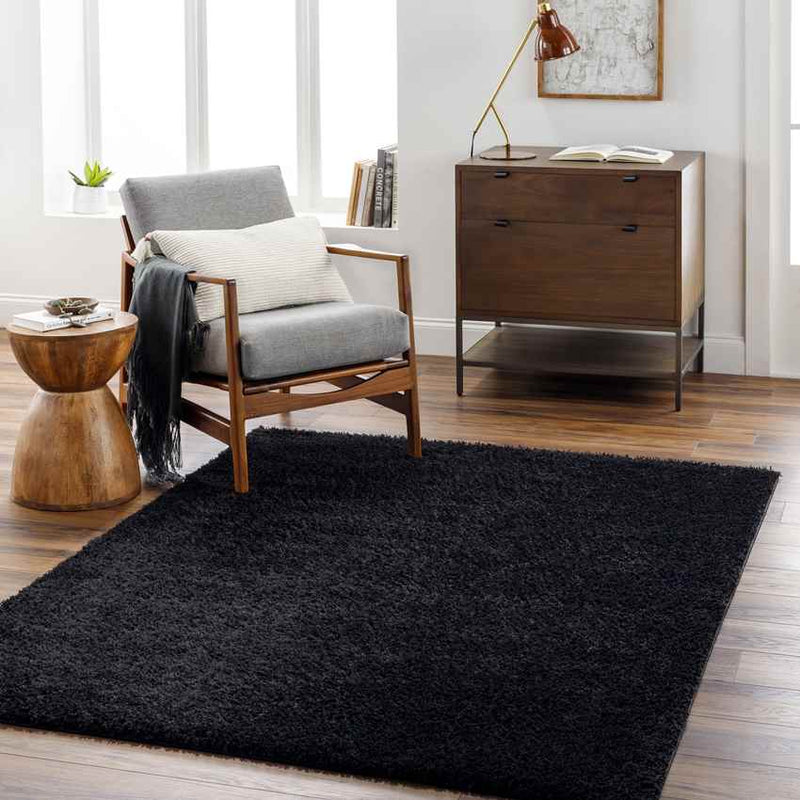 Dalon Modern Black Area Rug