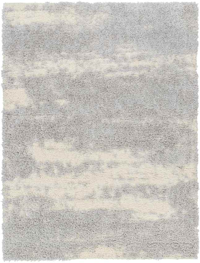 Erol Modern Gray Area Rug