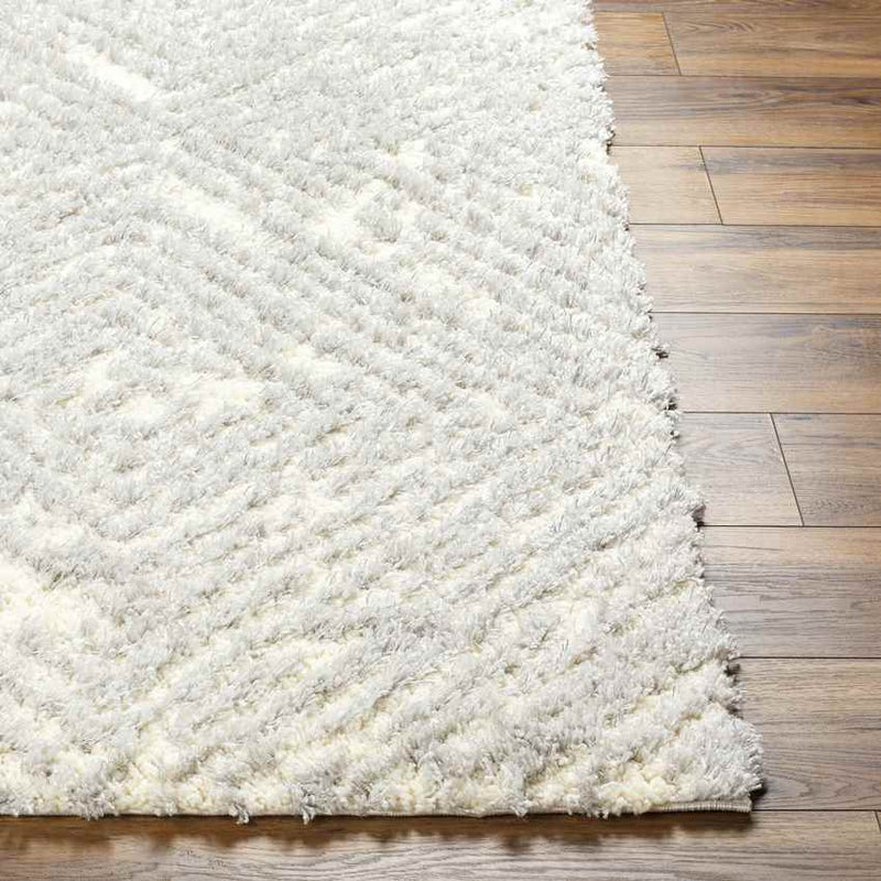 Kaveh Global Light Gray/Cream Area Rug