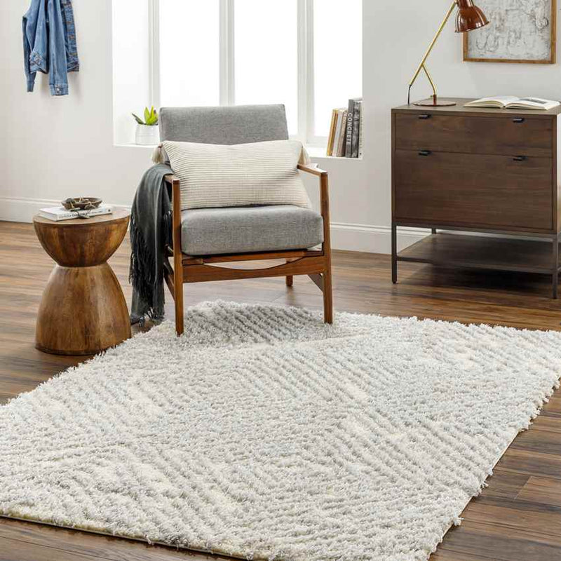 Kaveh Global Light Gray/Cream Area Rug