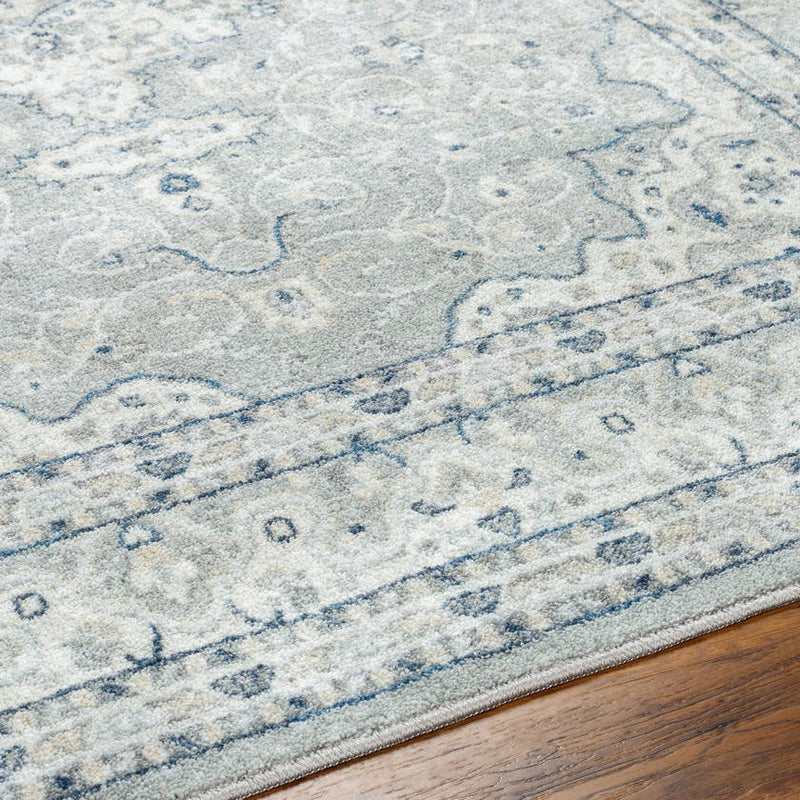 Tomara Traditional Light Gray Washable Area Rug