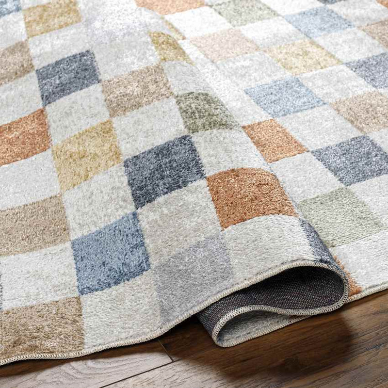 Shaquina Modern Taupe Washable Area Rug