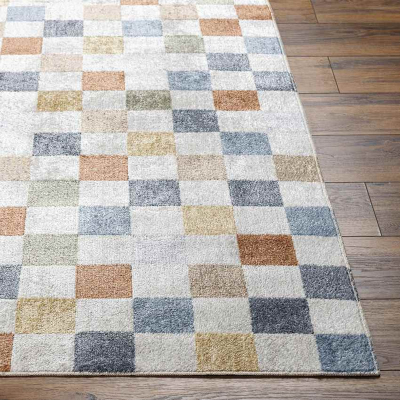 Shaquina Modern Taupe Washable Area Rug