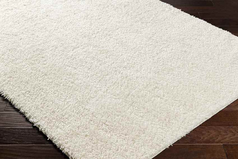 Charon Modern Ivory Area Rug