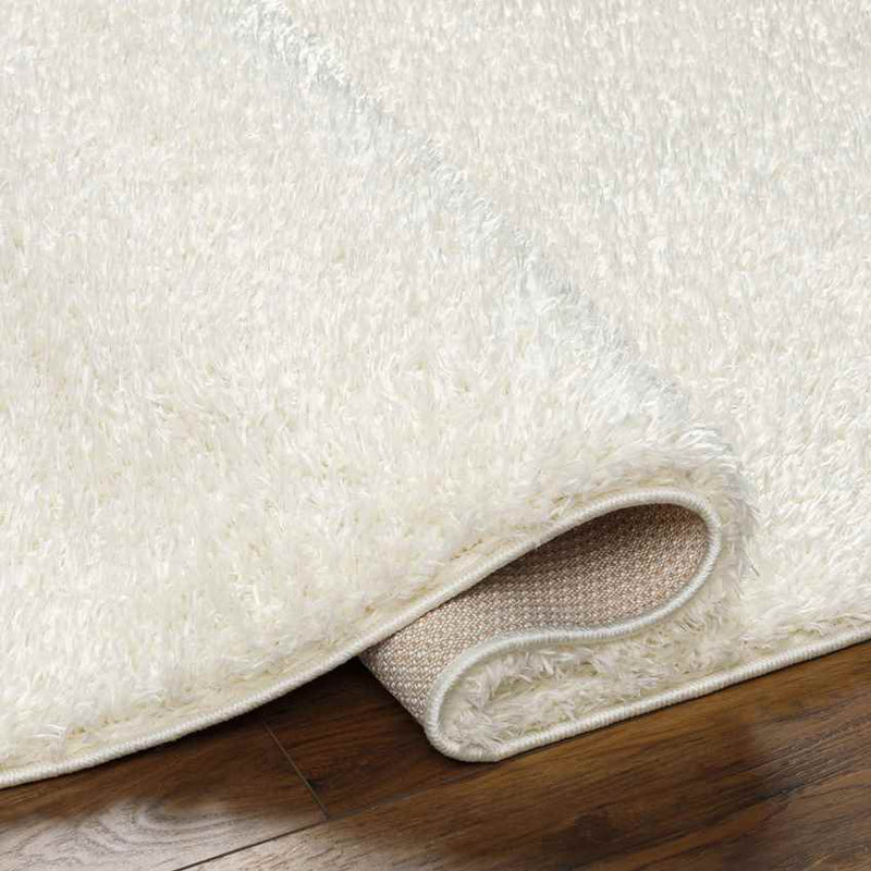 Charon Modern Ivory Area Rug