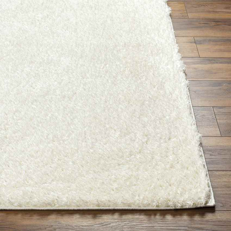 Charon Modern Ivory Area Rug