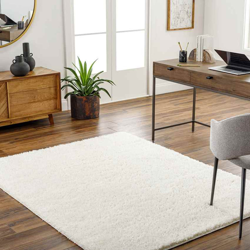 Charon Modern Ivory Area Rug