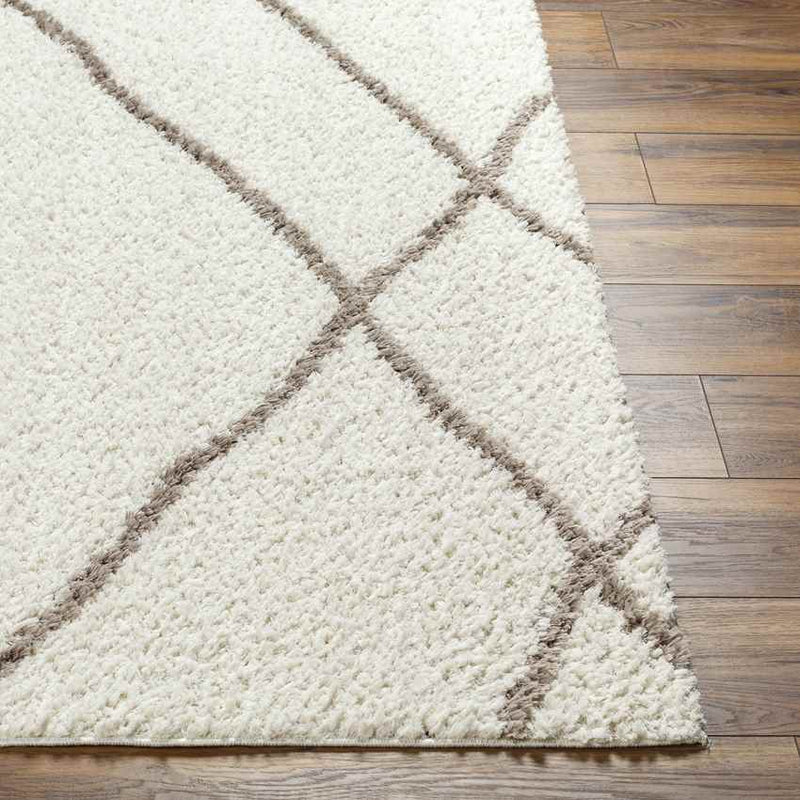 Georgette Global Beige/Dark Brown Area Rug