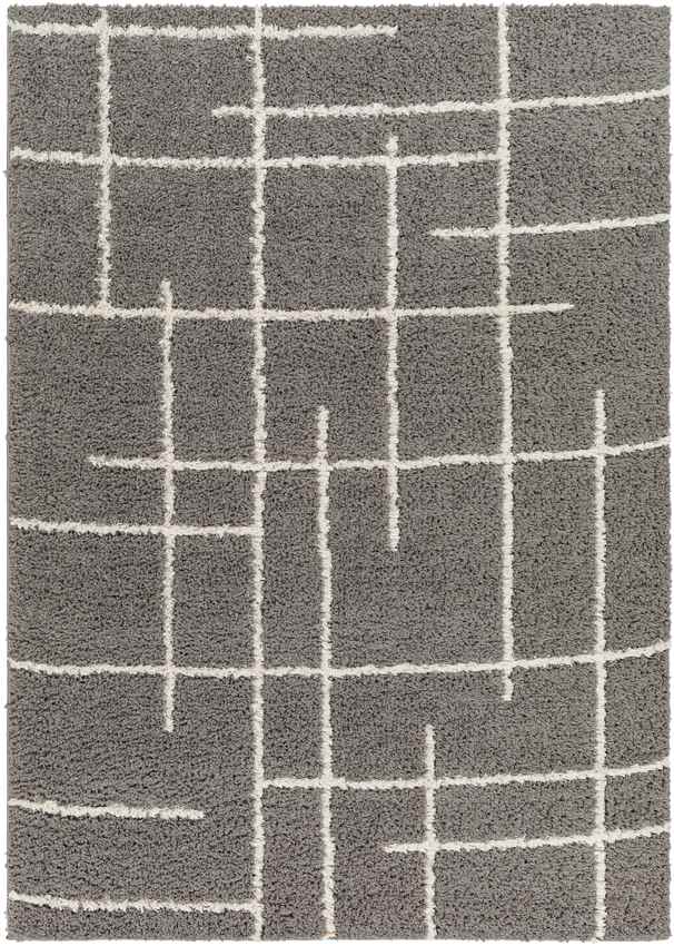 Lyndy Modern Gray/Beige Area Rug