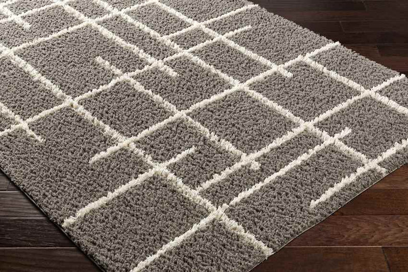 Lyndy Modern Gray/Beige Area Rug