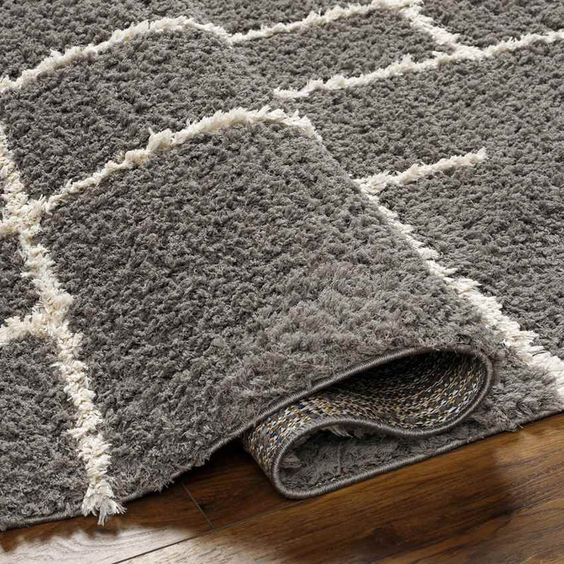 Lyndy Modern Gray/Beige Area Rug