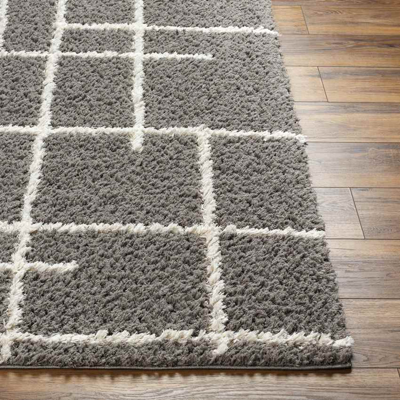 Lyndy Modern Gray/Beige Area Rug