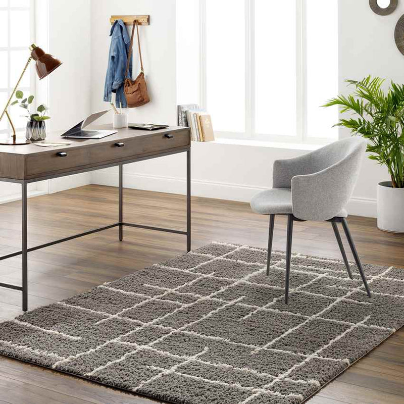 Lyndy Modern Gray/Beige Area Rug