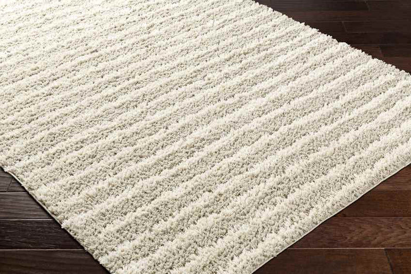 Rithy Modern Ivory/Beige Area Rug