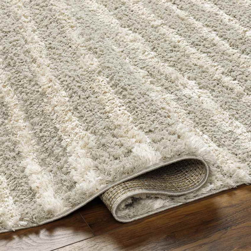 Rithy Modern Ivory/Beige Area Rug