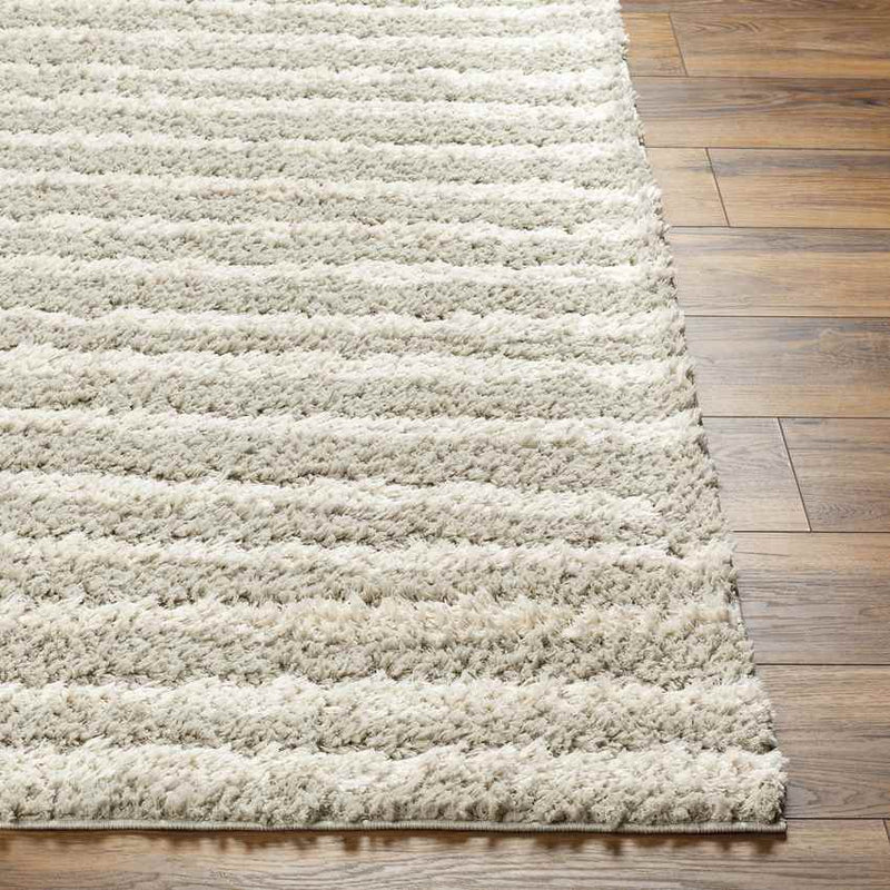 Rithy Modern Ivory/Beige Area Rug