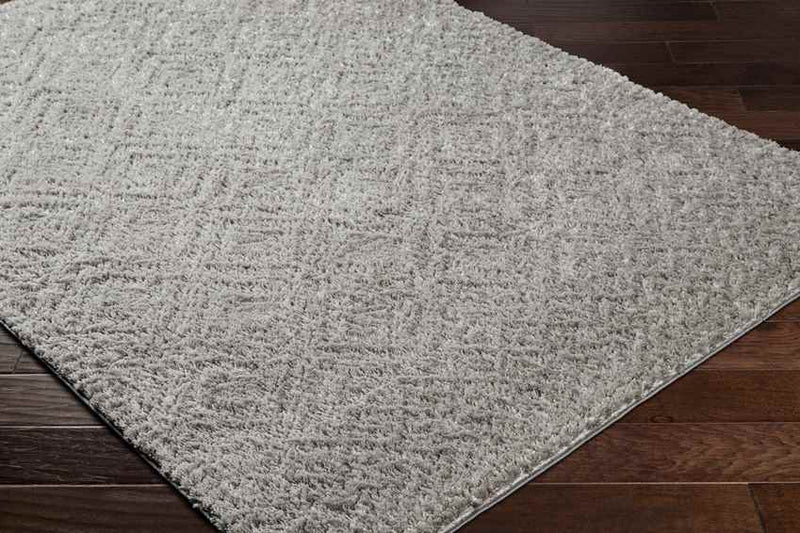 Jeremy Modern Gray/Dark Brown Area Rug