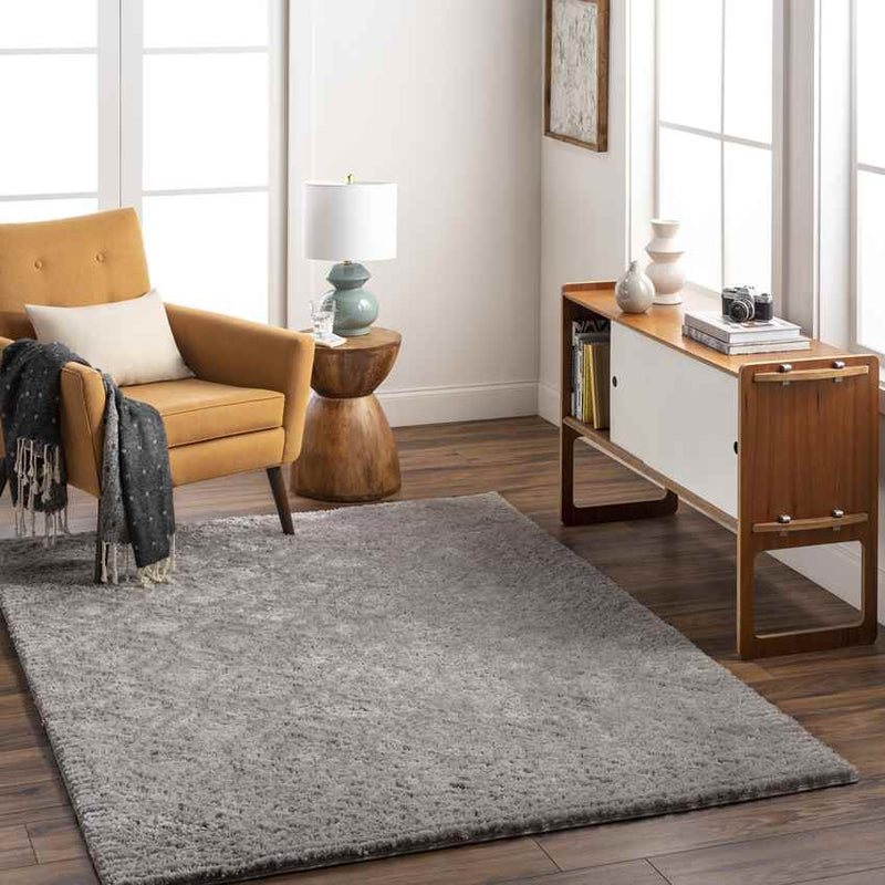 Jeremy Modern Gray/Dark Brown Area Rug