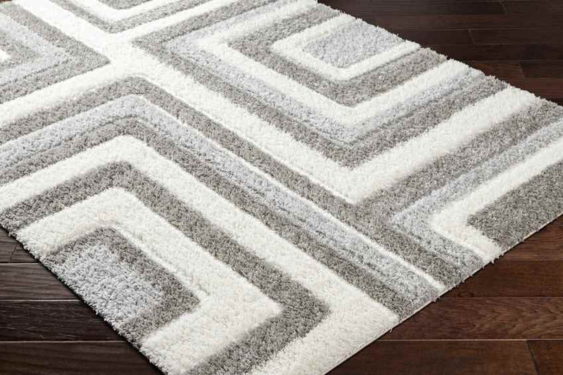 Shaheerah Modern Dark Gray/Cream Area Rug