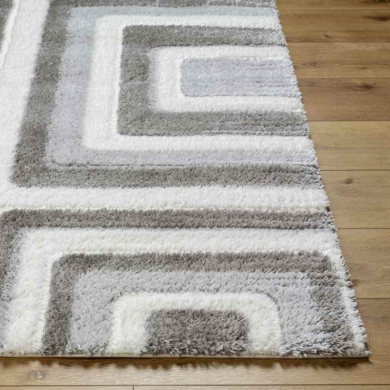 Shaheerah Modern Dark Gray/Cream Area Rug