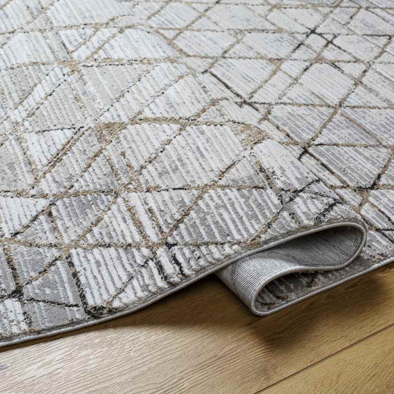 Glynis Modern Brown/Light Gray Area Rug