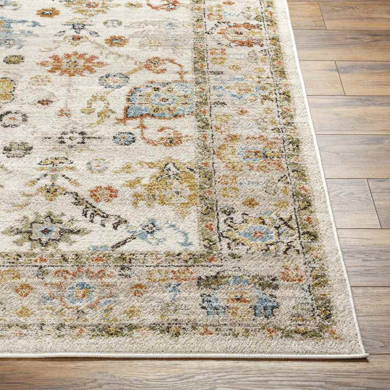 Rosangela Traditional Mocha Area Rug