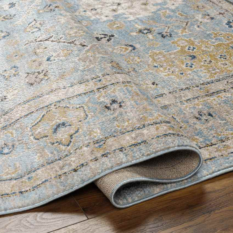 Corine Traditional Ice Blue Area Rug