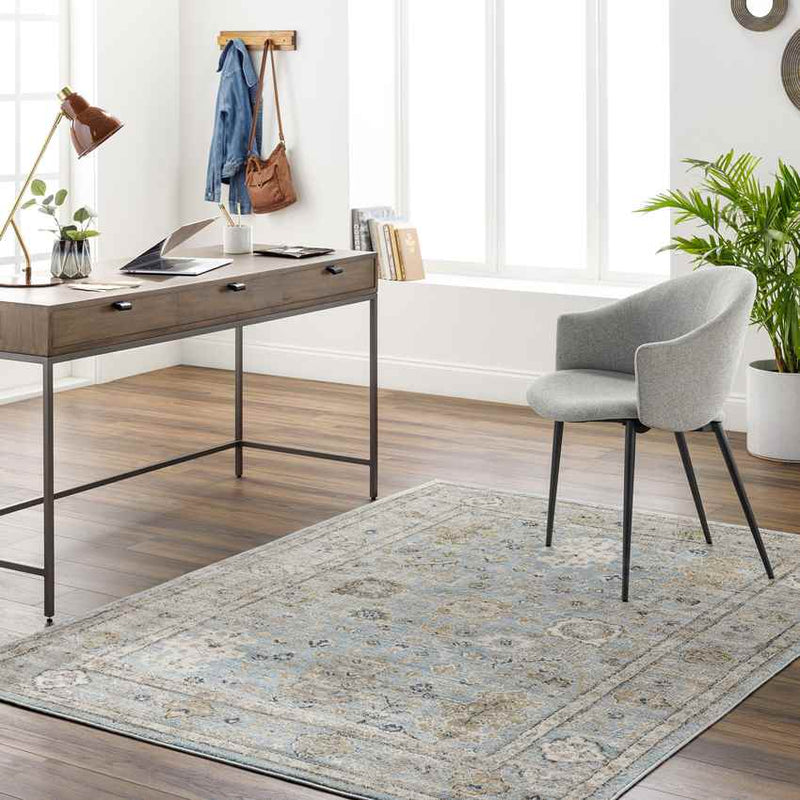 Corine Traditional Ice Blue Area Rug