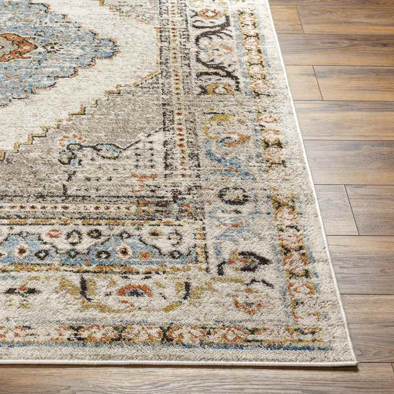 Yvett Traditional Beige/Sky Blue Area Rug