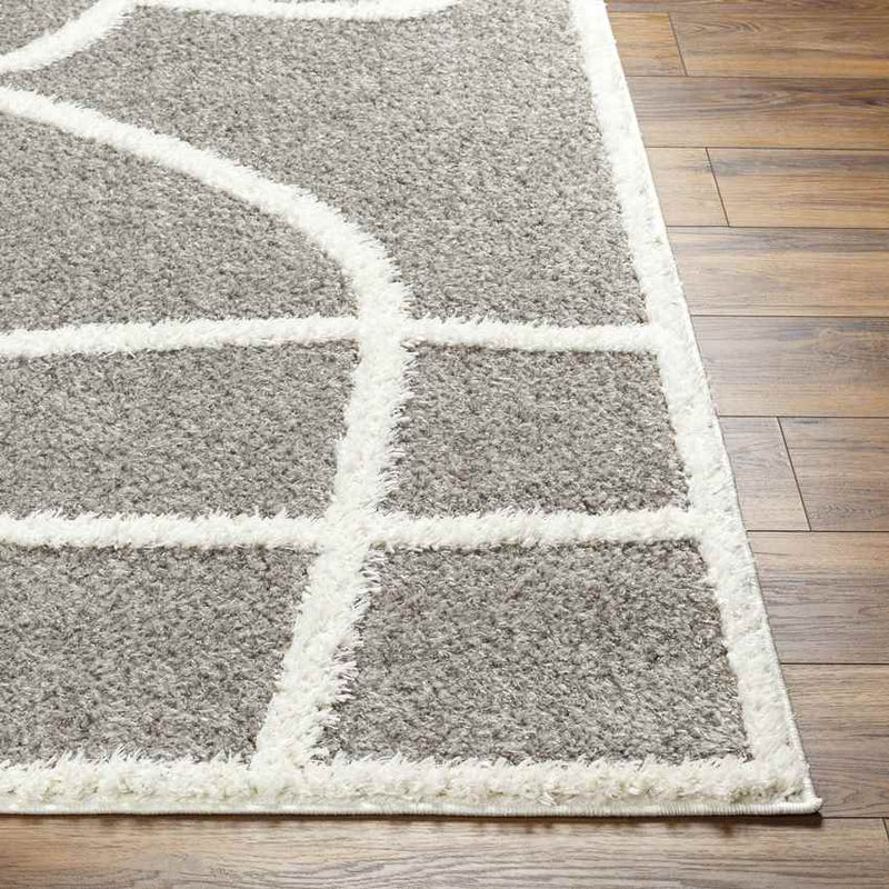 Kalani Modern Medium Gray Area Rug