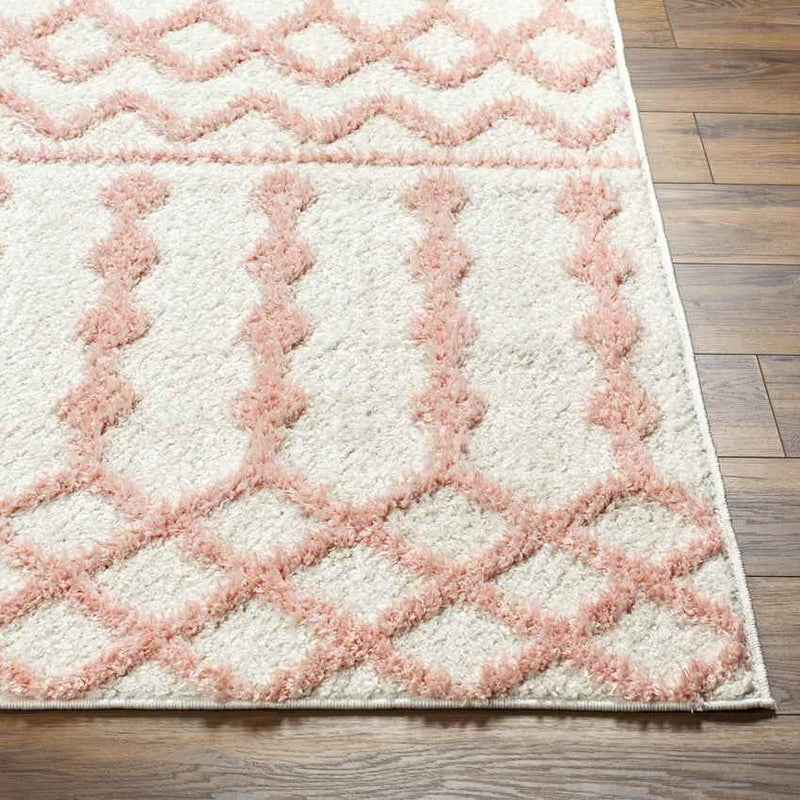 Daris Modern Coral Area Rug